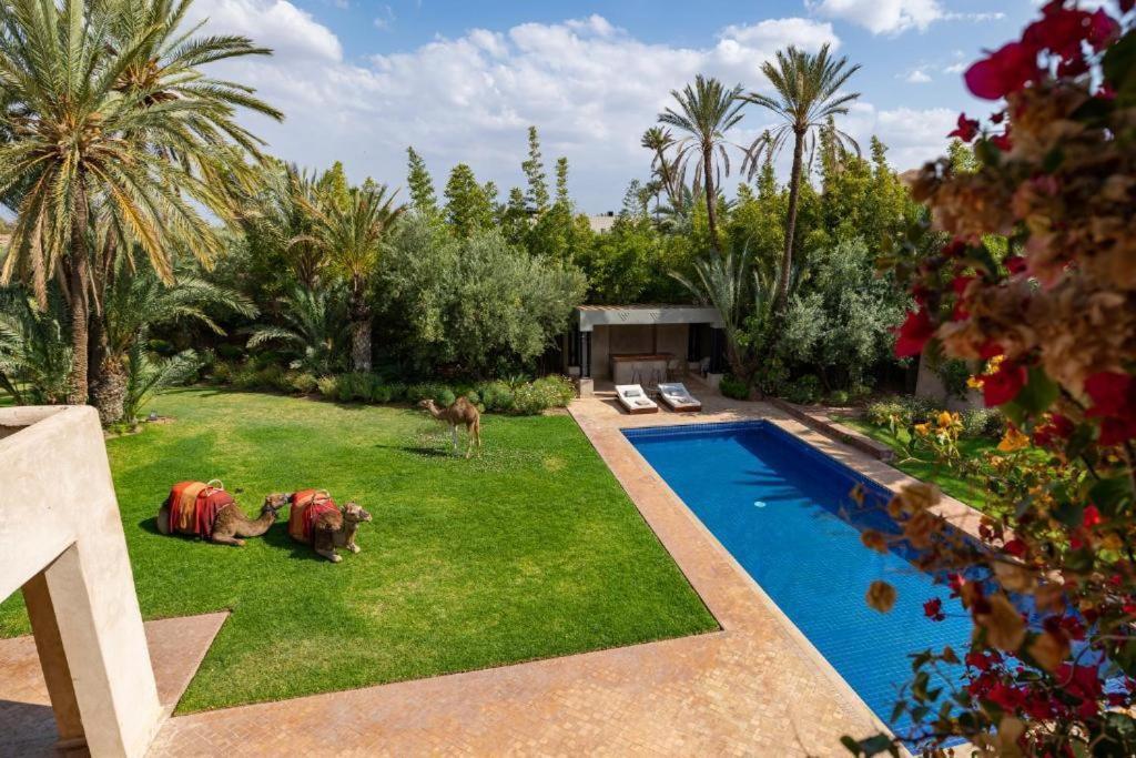 Villa Sahar Palmeraie Avec Piscine Chauffee ! Marrákes Kültér fotó